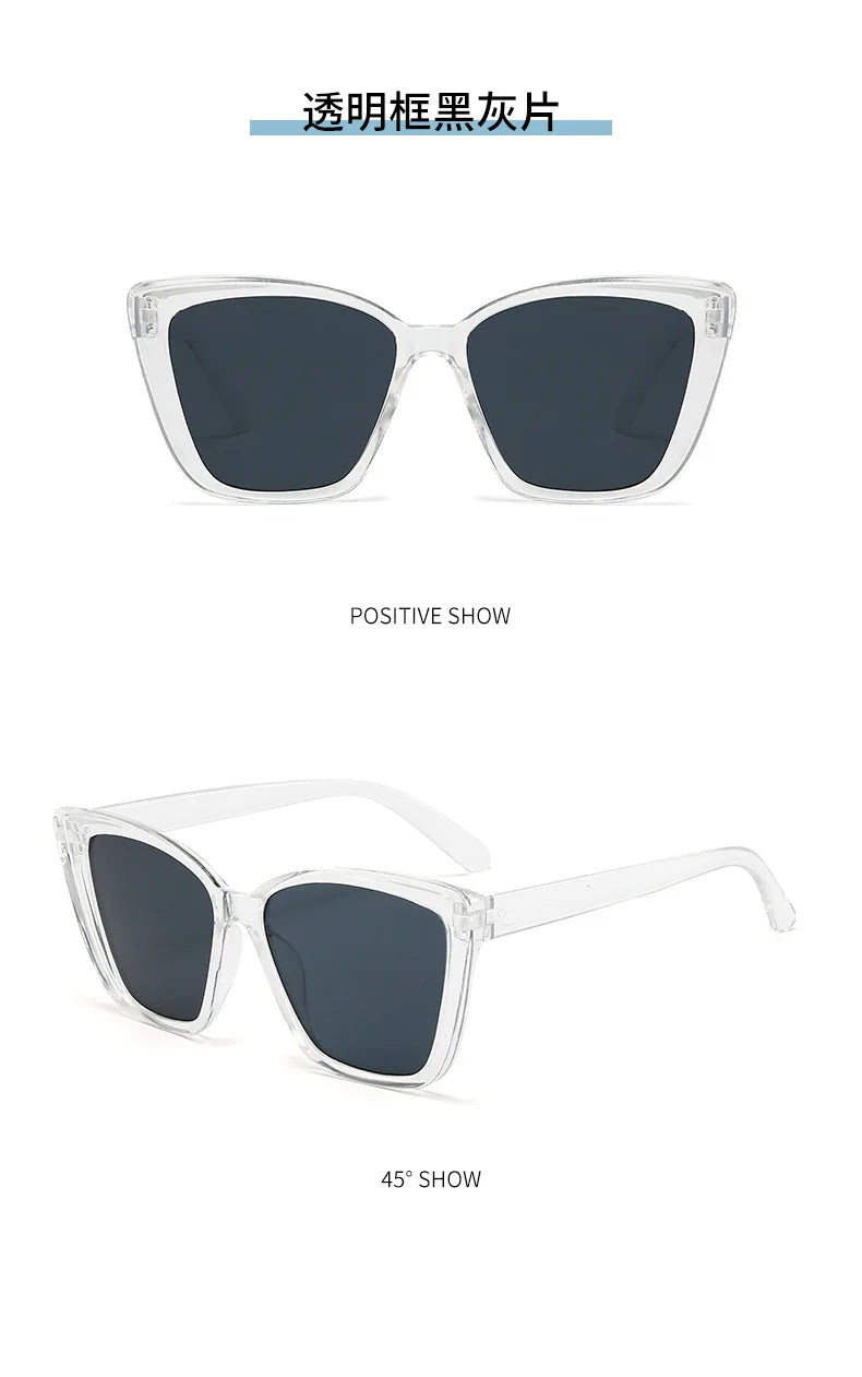 Square Frame Sunglasses