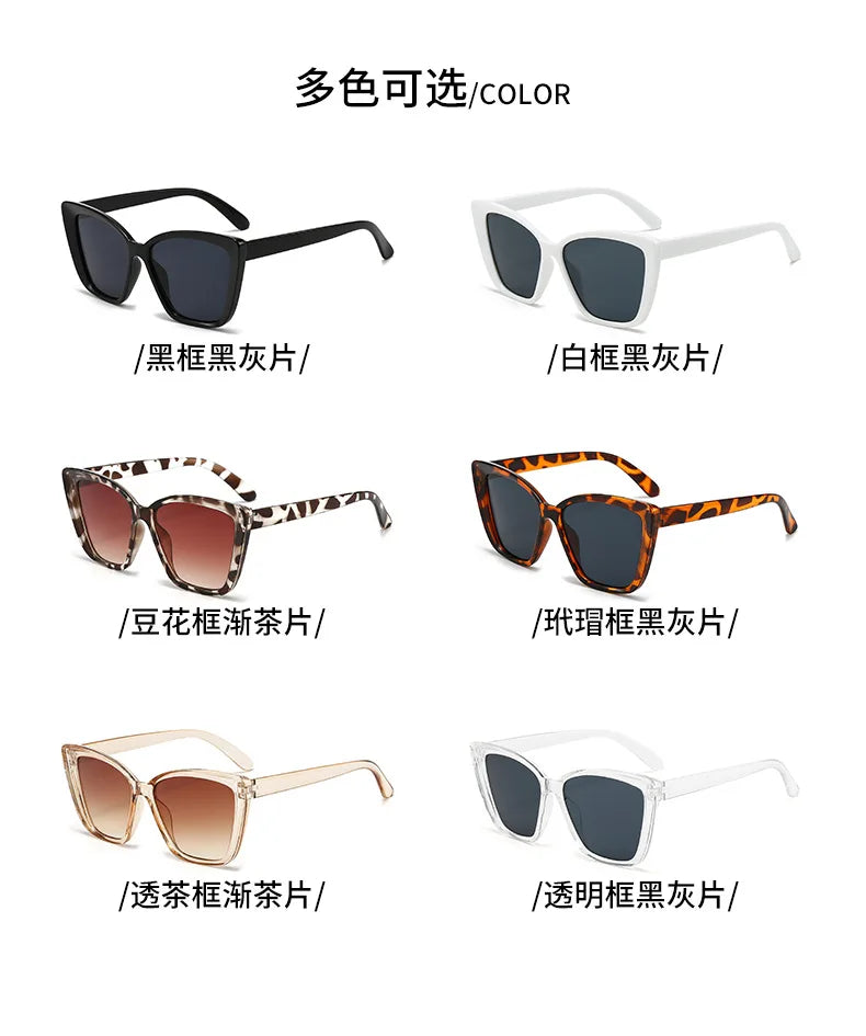 Square Frame Sunglasses