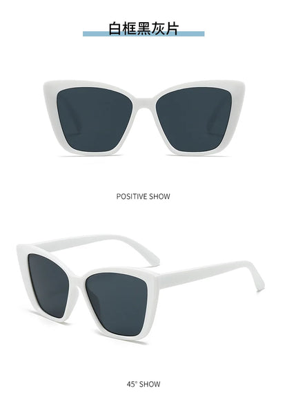 Square Frame Sunglasses