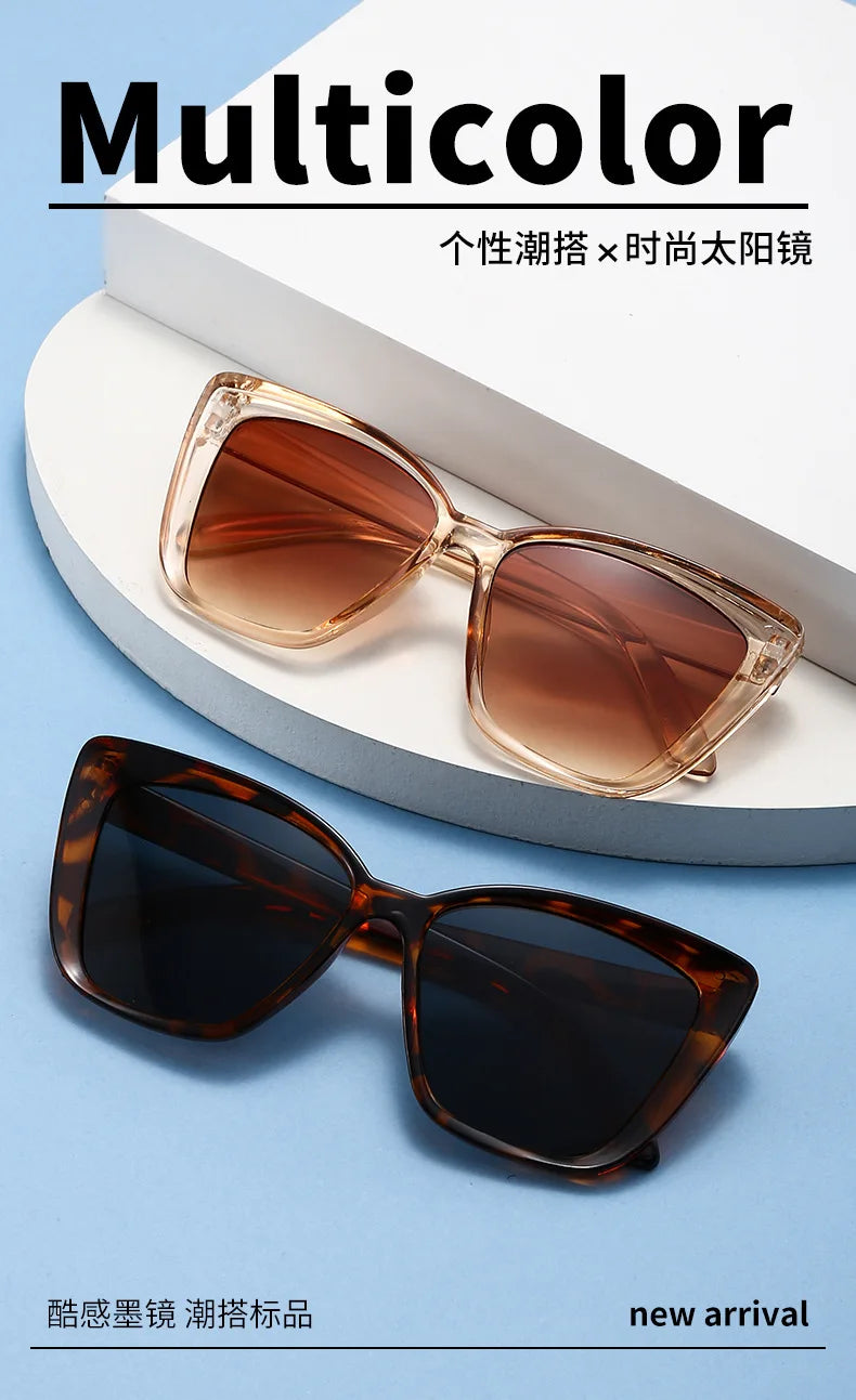 Square Frame Sunglasses