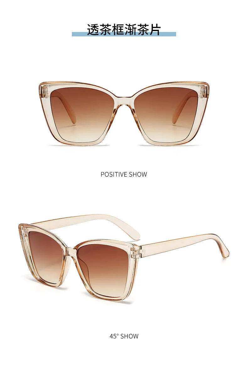 Square Frame Sunglasses