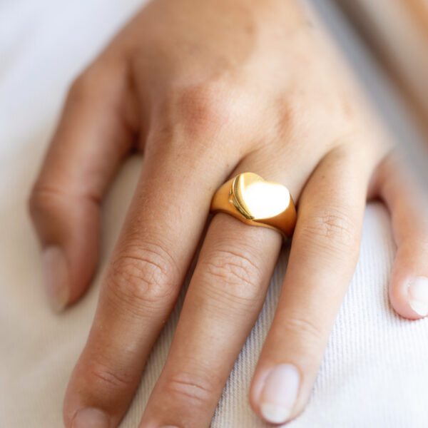 Anillo Core
