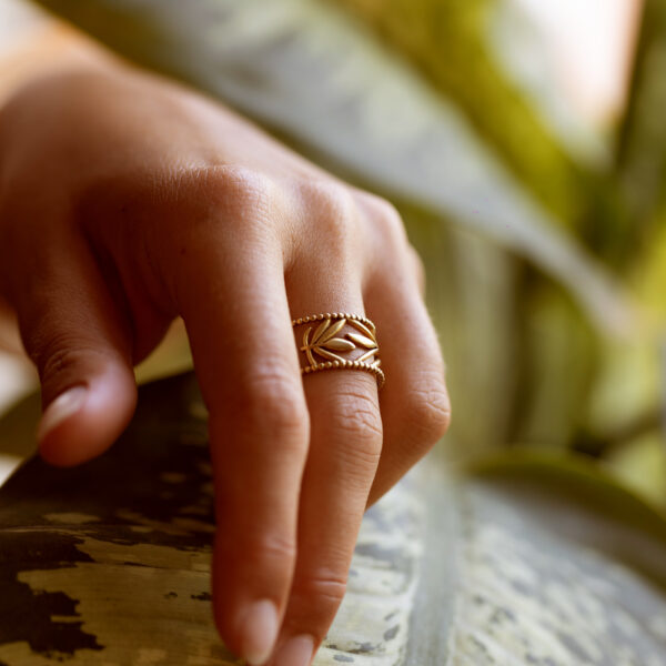 Anillo Olivo