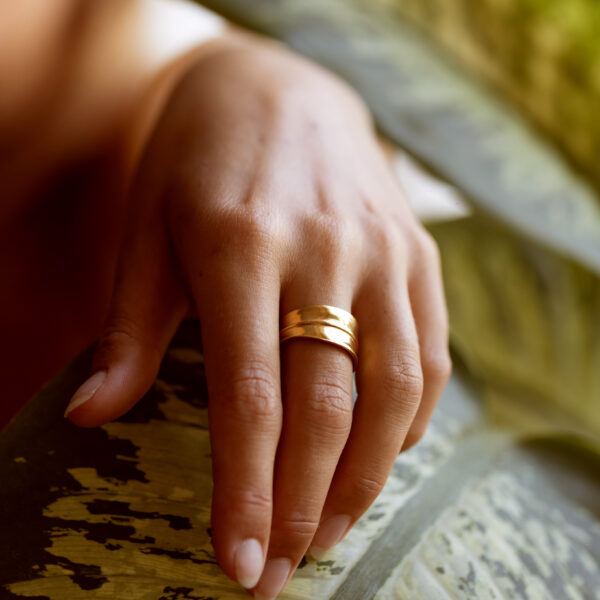 Anillo Gaia