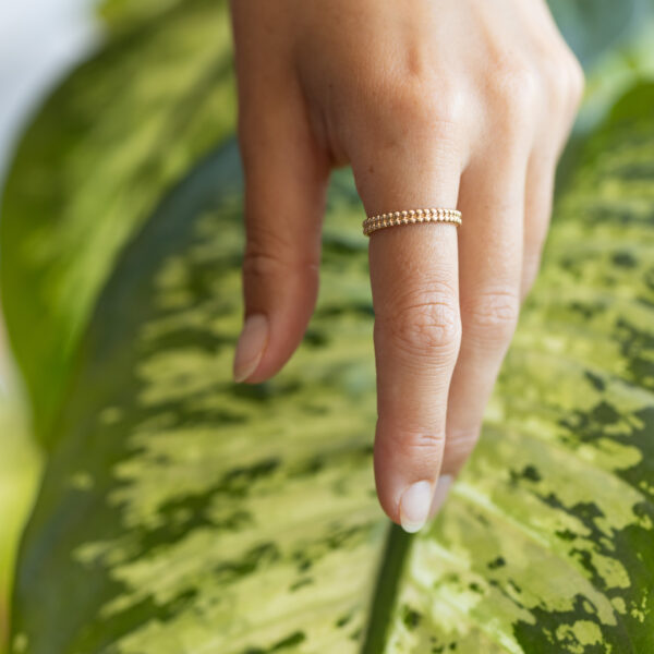 Anillo Double