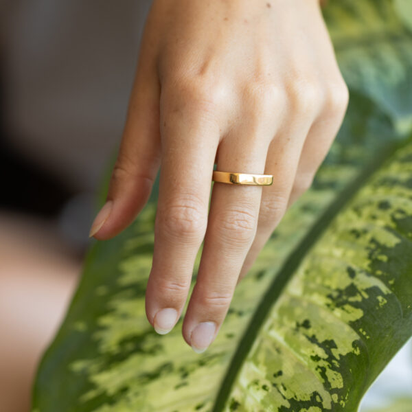 Anillo Delphi