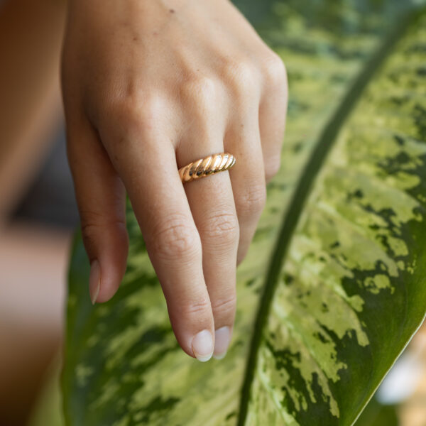 Anillo Sand