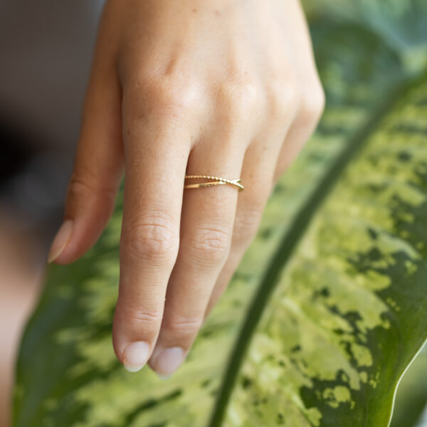 Anillo Duo