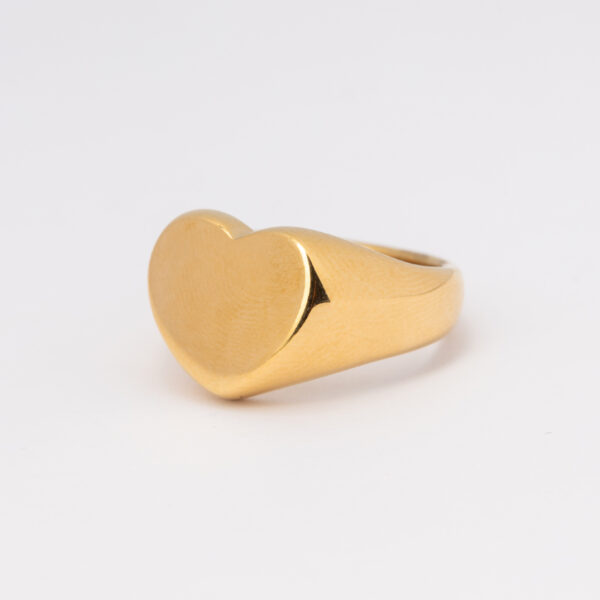 Anillo Core