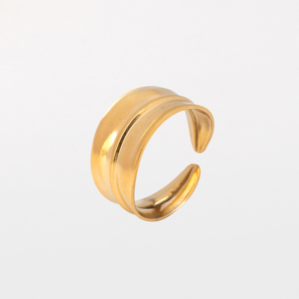 Anillo Gaia
