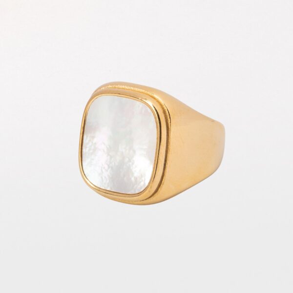 Anillo Duna