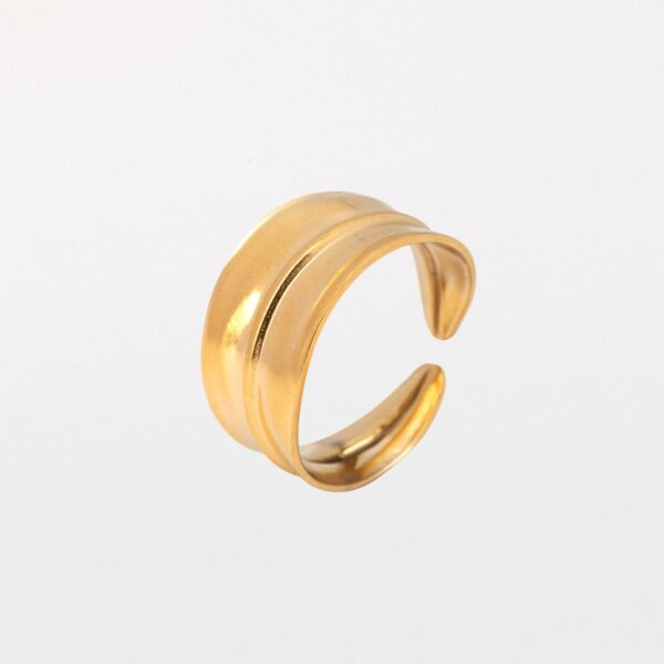 Anillo Gaia
